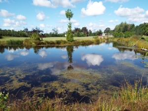 boerencamping Schonewille in Drenthe